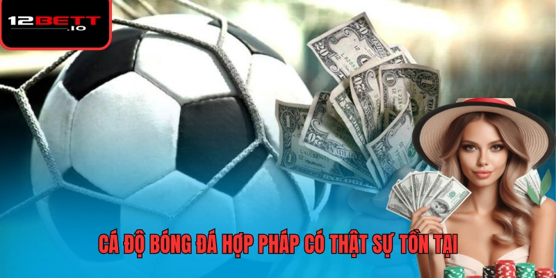 Cá Độ Bóng Đá Và Cách Chơi Hiệu Quả Nhất Dành Cho Người Mới 5 Cá độ bóng đá hợp pháp có thật sự tồn tại