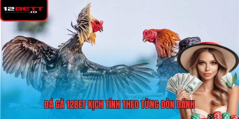Đá Gà 12BET 1 Đá gà 12BET kịch tính theo từng đòn đánh