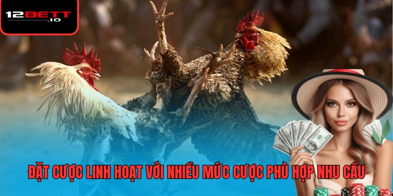 Đá Gà 12BET 3 Đặt cược linh hoạt với nhiều mức cược phù hợp nhu cầu